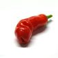 bild på Peter Pepper Red