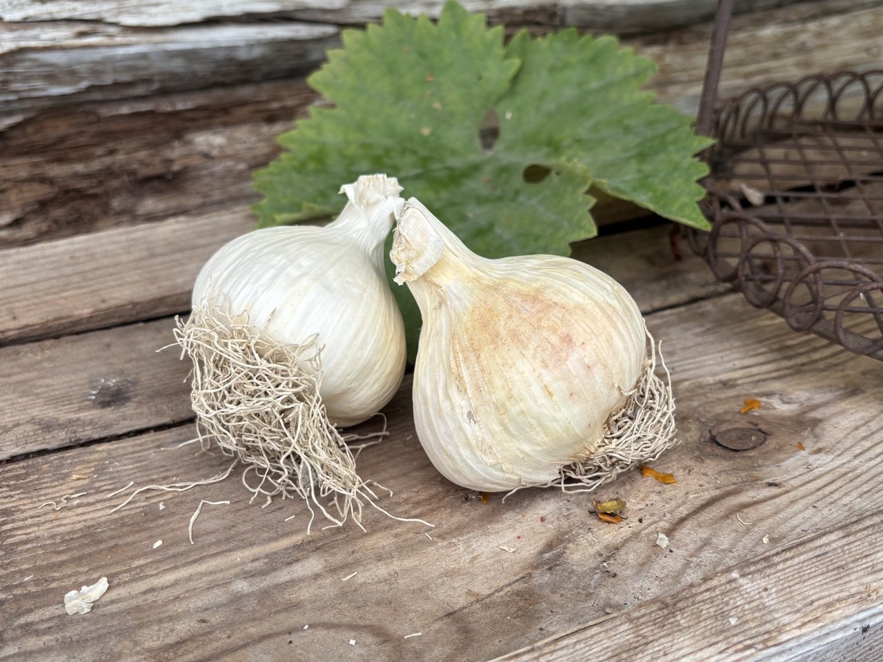 photo_2025-09-24_18-00-23